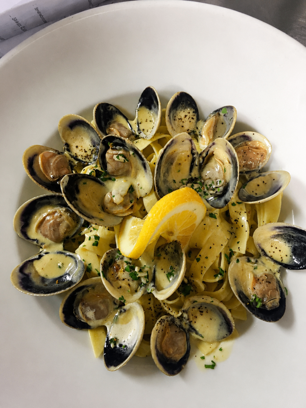 FENNEL BULB . PERNOD CLAM SAUCE . FETTUCCINE